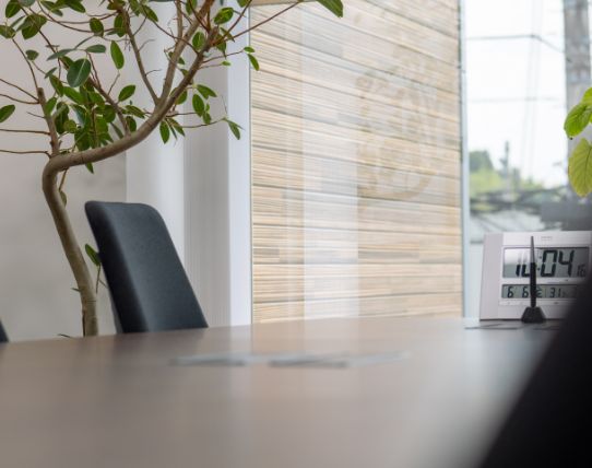 ワークデスクと観葉植物